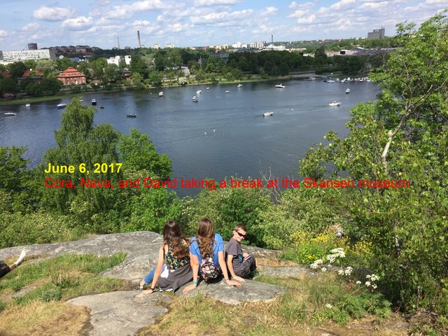 Skansen photo from Stockholm, June 2017